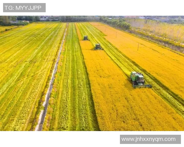 盐城大丰港战队凝心聚力奋勇争先打造沿海新质发展强劲引擎